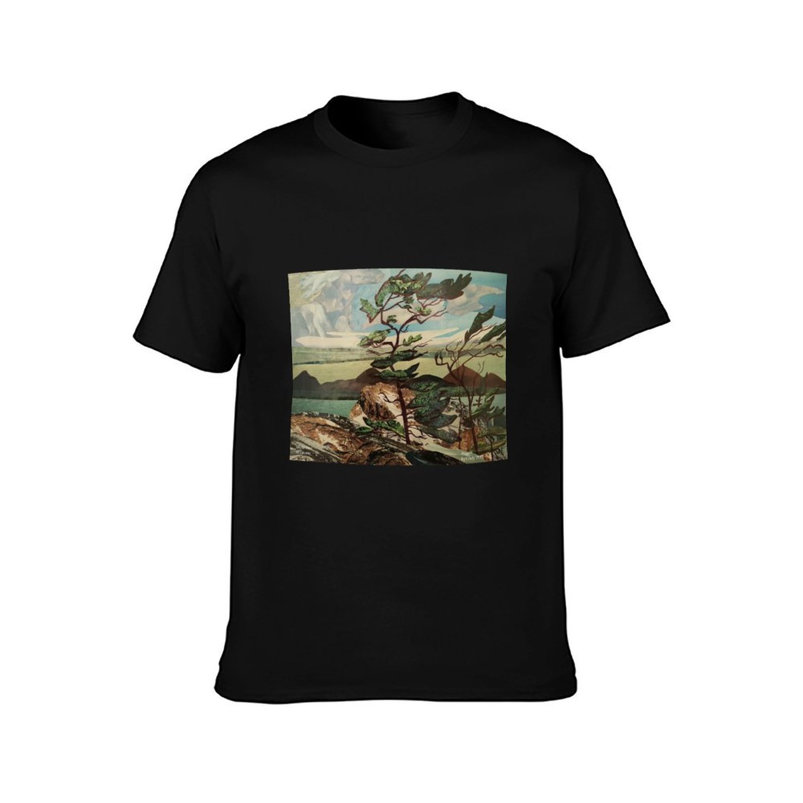 Landscape, Group of Seven, Whi - Outdoor Sportsman Group review and price