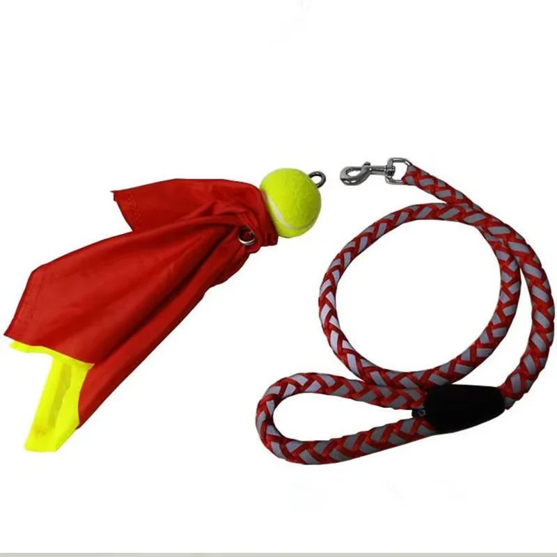 6/810 Meters Swinging Ball Dra - Outdoor Sport Festival review and price