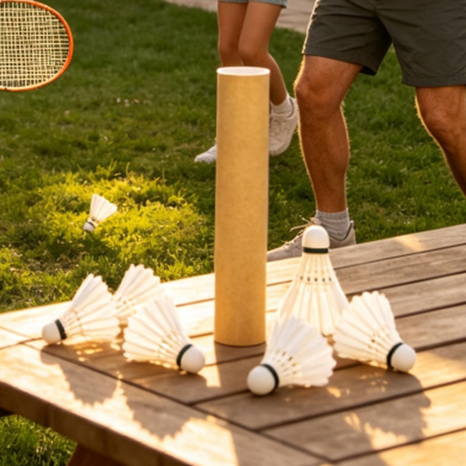 Badminton Bird Outdoor Trainin - Outdoor Sportsman Group review and price