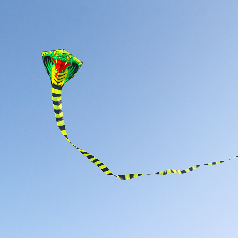 Paradise Bird 8m/15m Snake Kit - Outdoor Sport Outlet review and price
